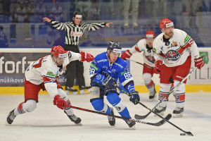 dsc_3813 kopie.jpg